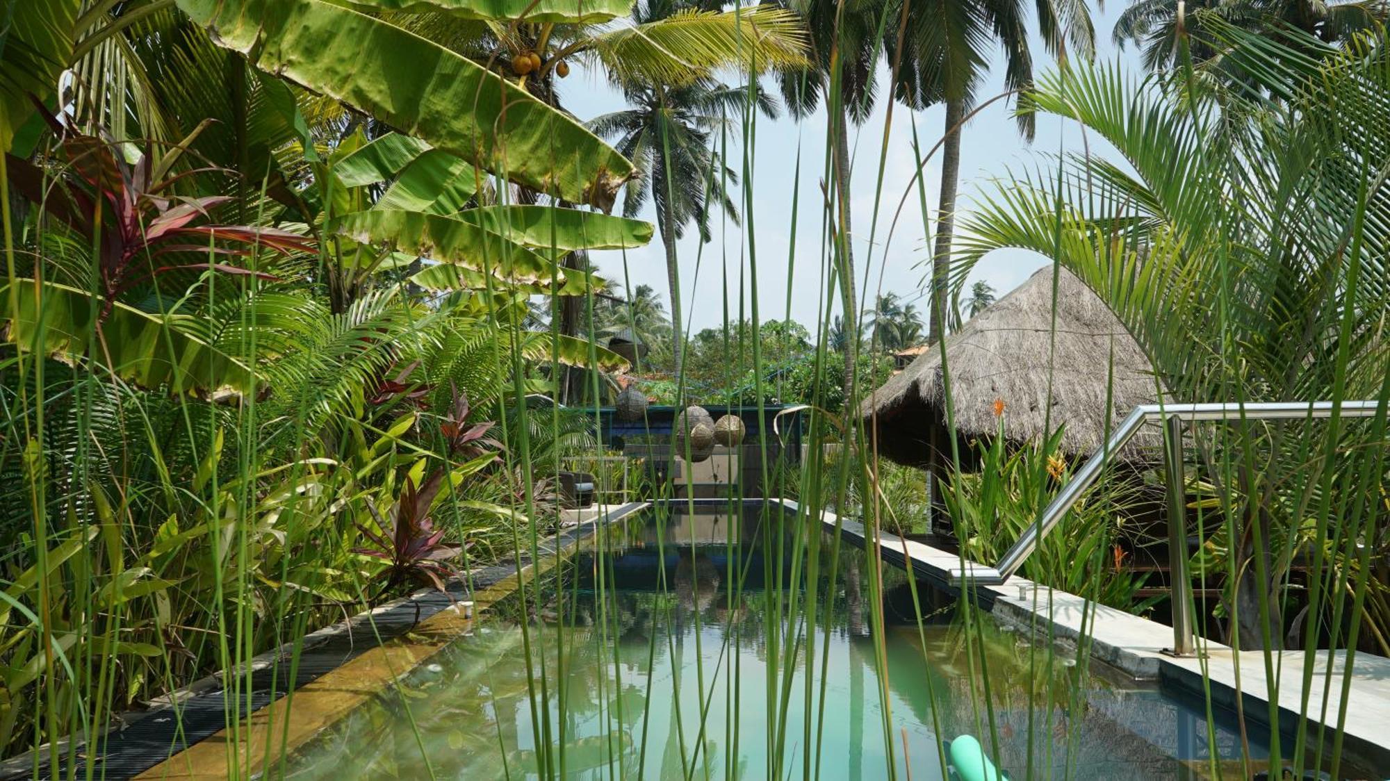 Red Coconut Villa Bentota Exterior photo