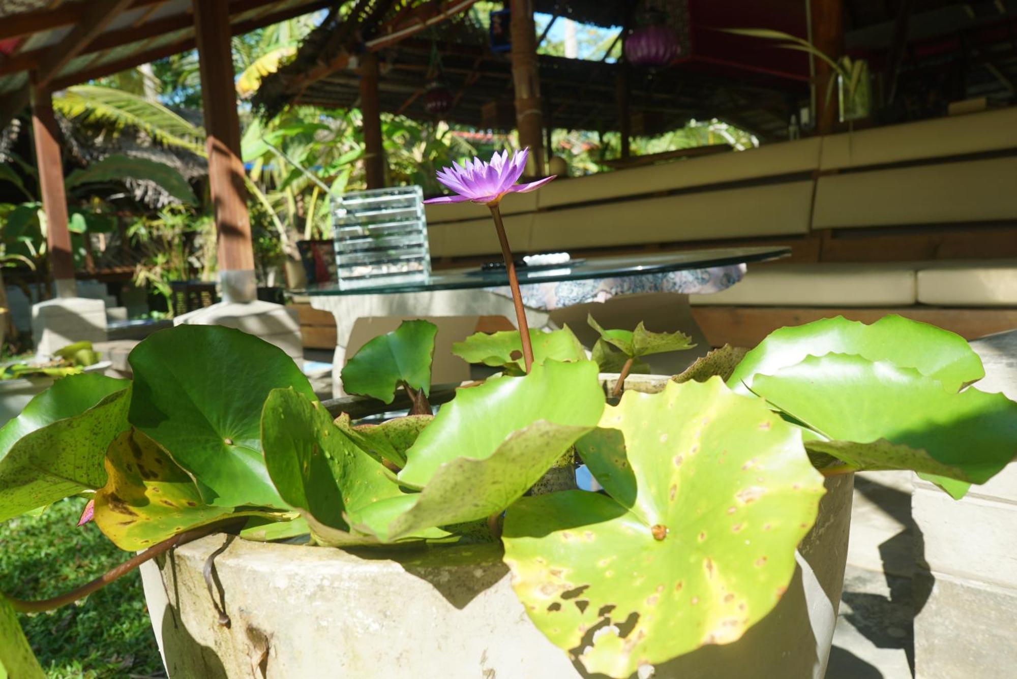 Red Coconut Villa Bentota Exterior photo